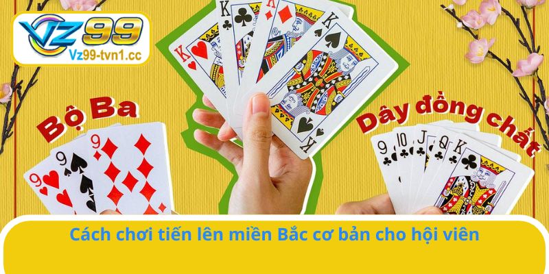 Quy định chơi cơ bản hội viên cần nắm vững